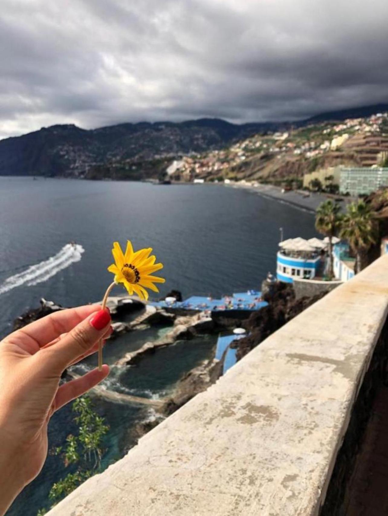 Madeira Residence Apartments T2 Funchal  Esterno foto